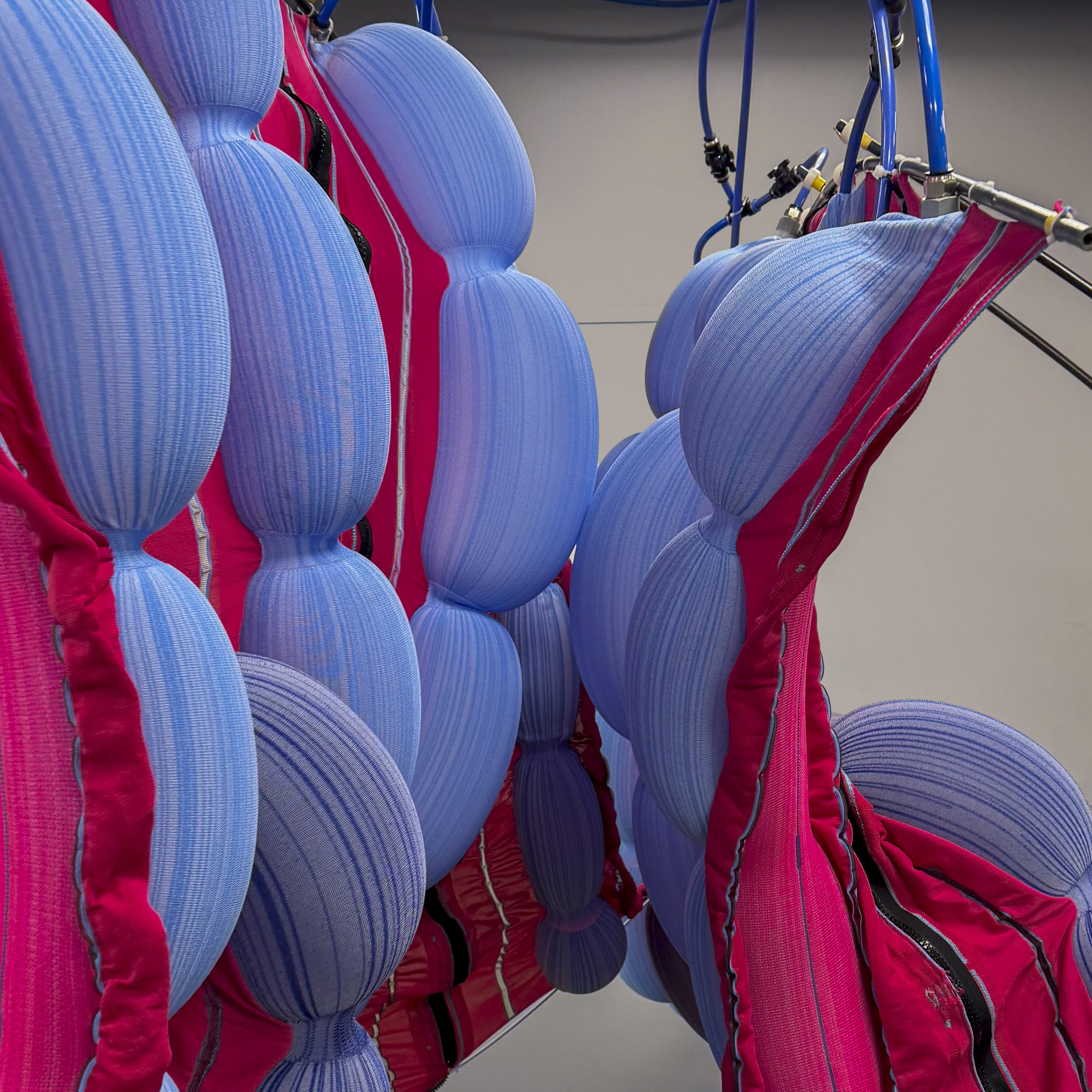 Inflate Detail.jpg