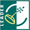 leader.jpg