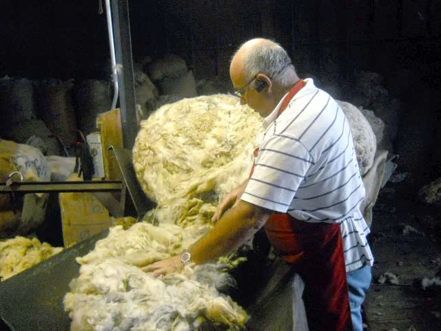 grading wool.jpg