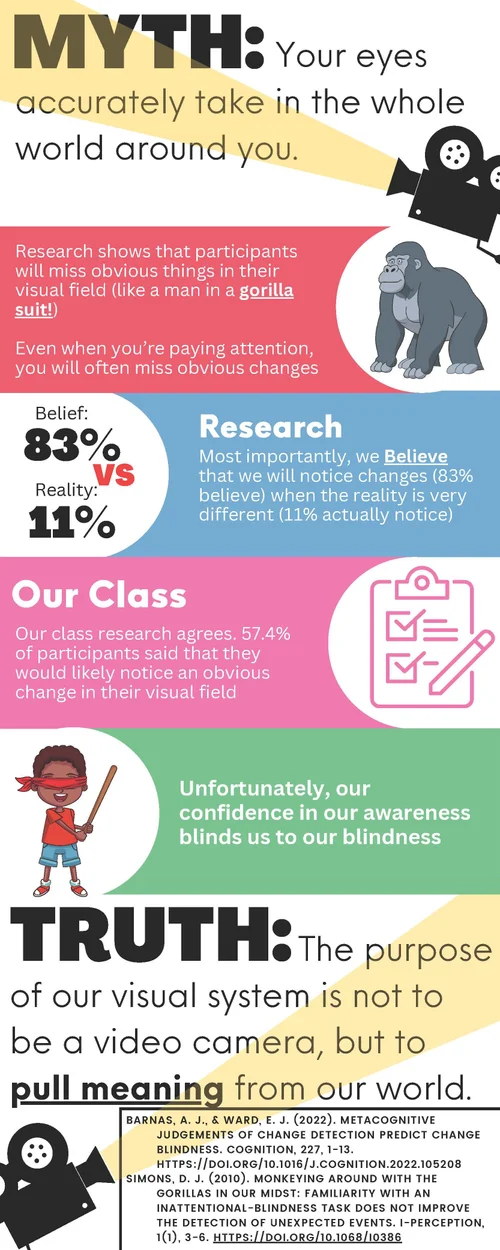 Misconceptions Research Project: Your Eyes Accurately Take In the Whole ...