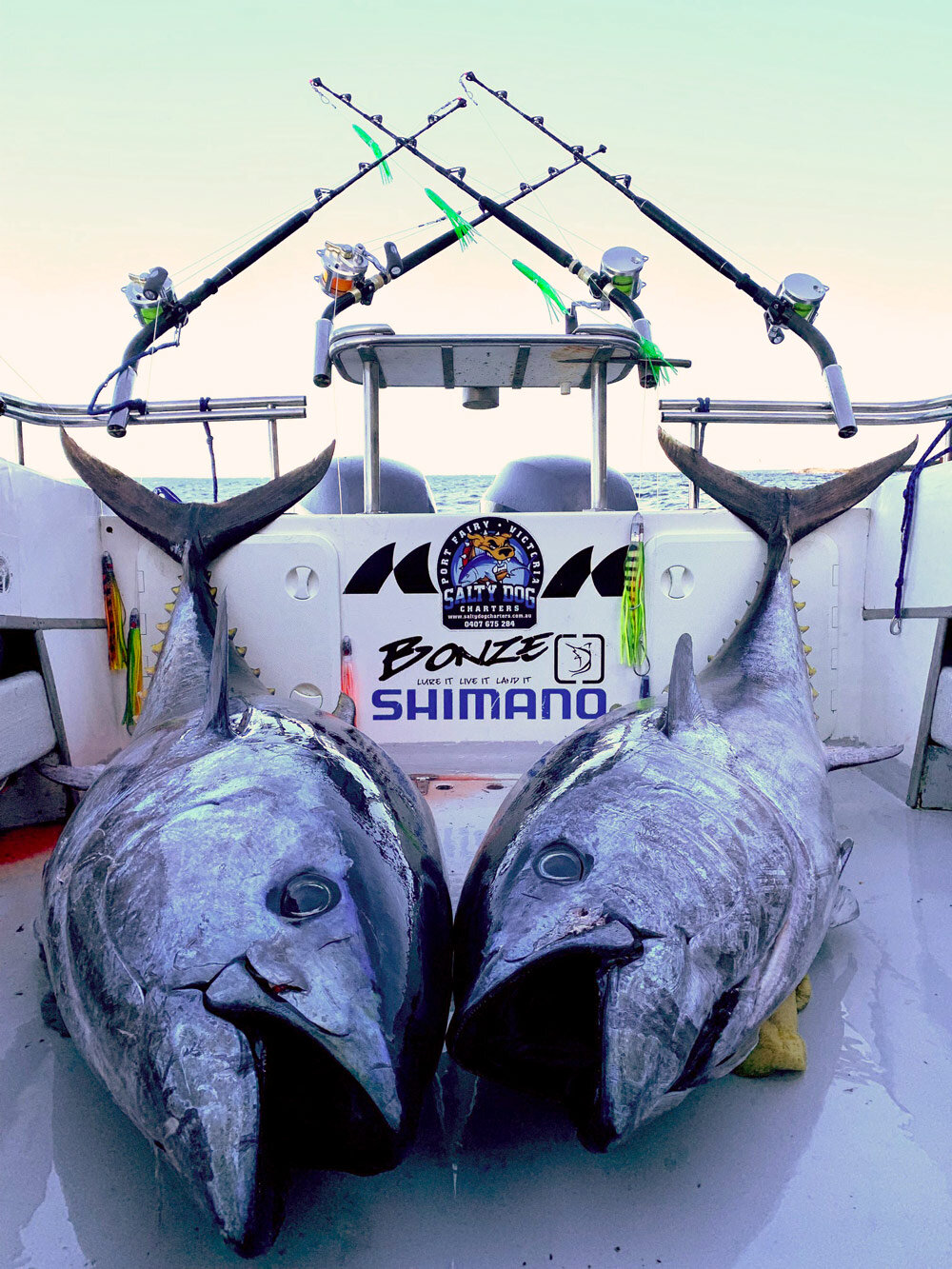Gallery — Salty Dog Charters