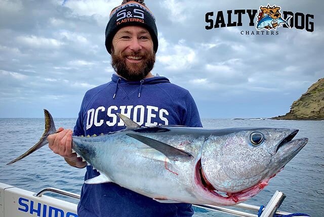 Salty Dog Charters Is now taking bookings! Ph; 0407 675 284 #😀👍 #tunatime #getonboard #🤙