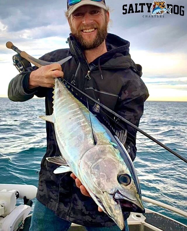 Salty Dog Charters is now taking bookings. 
To book phone or text Dan on 0407 675 284😀👍 #bluefin #tuna #onfly