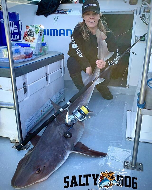 Spring is the time to book if a your looking to score a solid gummy with Salty Dog Charters. 
Ph; 0407 675 285 😀👍 #gummy #shark #offshore #offshorefishing #flake #fullfreezers #itsavictorianthing @shimano.fish @saltydogcharters