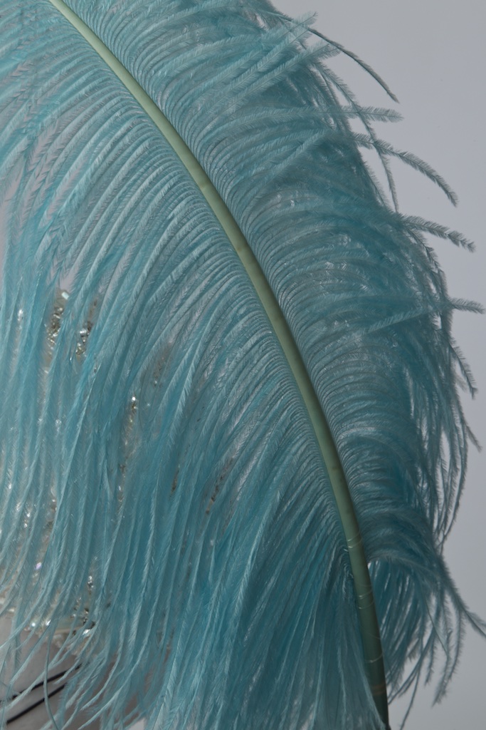 Polly turquoise feather