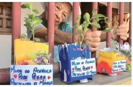 Idosa faz sucesso na internet ao oferecer mudas de acerola em sua varanda
