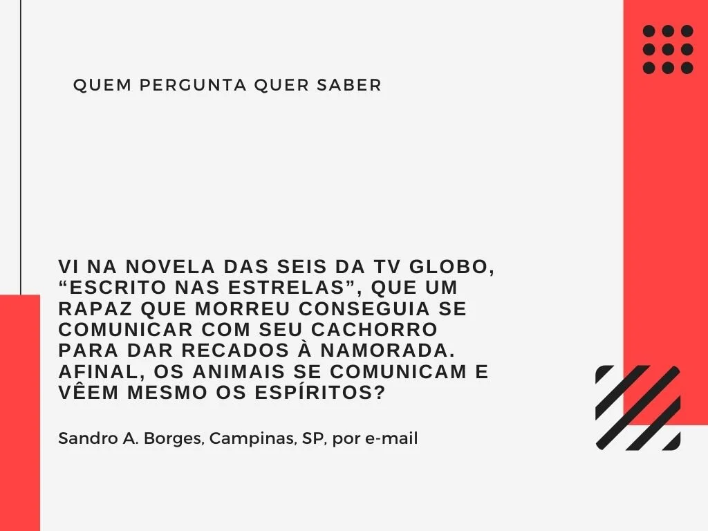 Meu cachorro fala com espíritos?