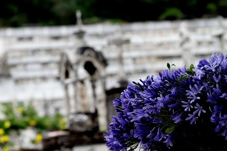 Kardec comemora dia de finados?