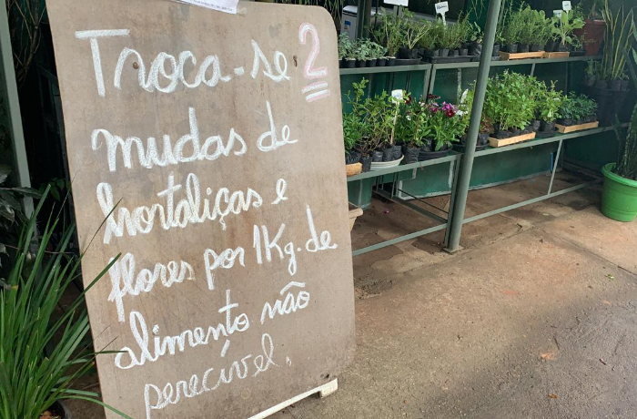 Troca de alimentos não perecíveis por mudas de hortaliças