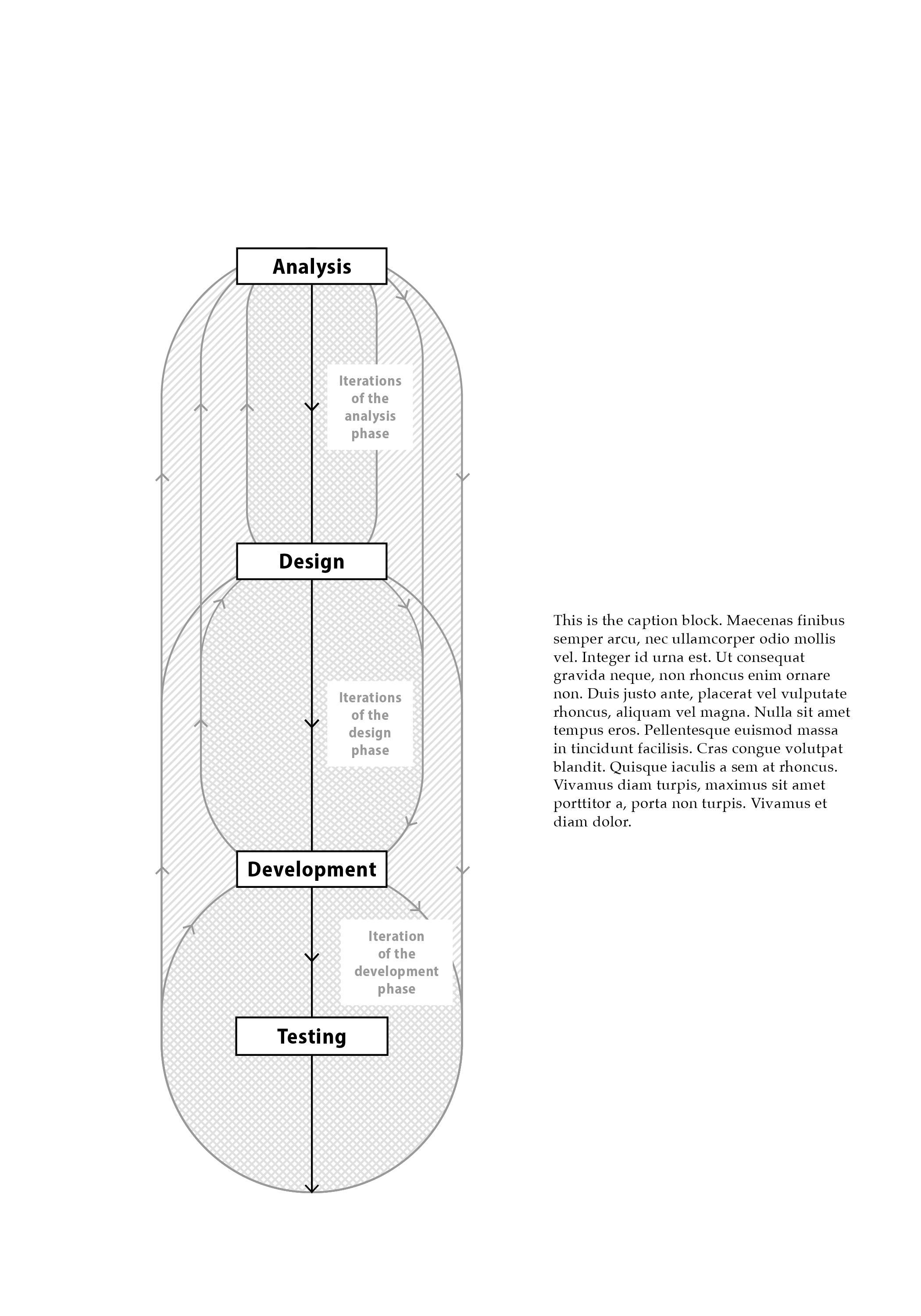 Development Cycle.png