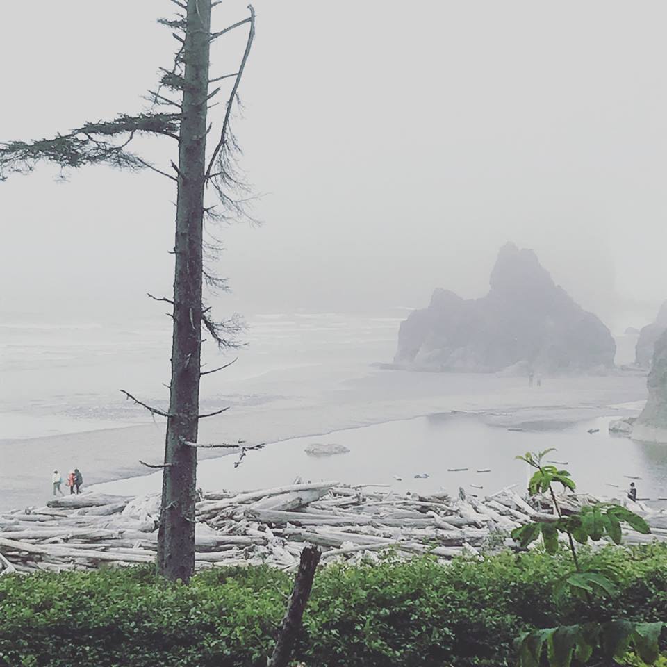 ruby beach.jpg