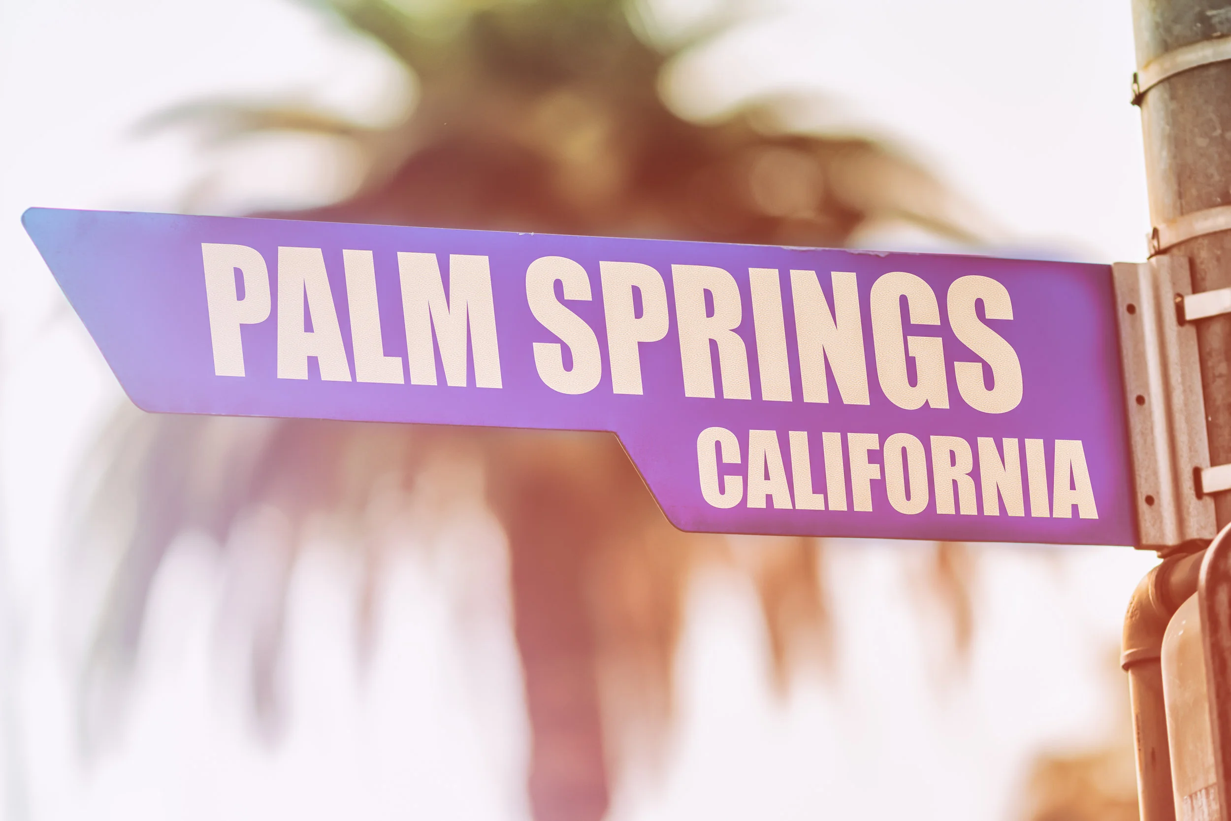 Family Trip to Palm Springs | Dinosaurs, Hikes and Pool time