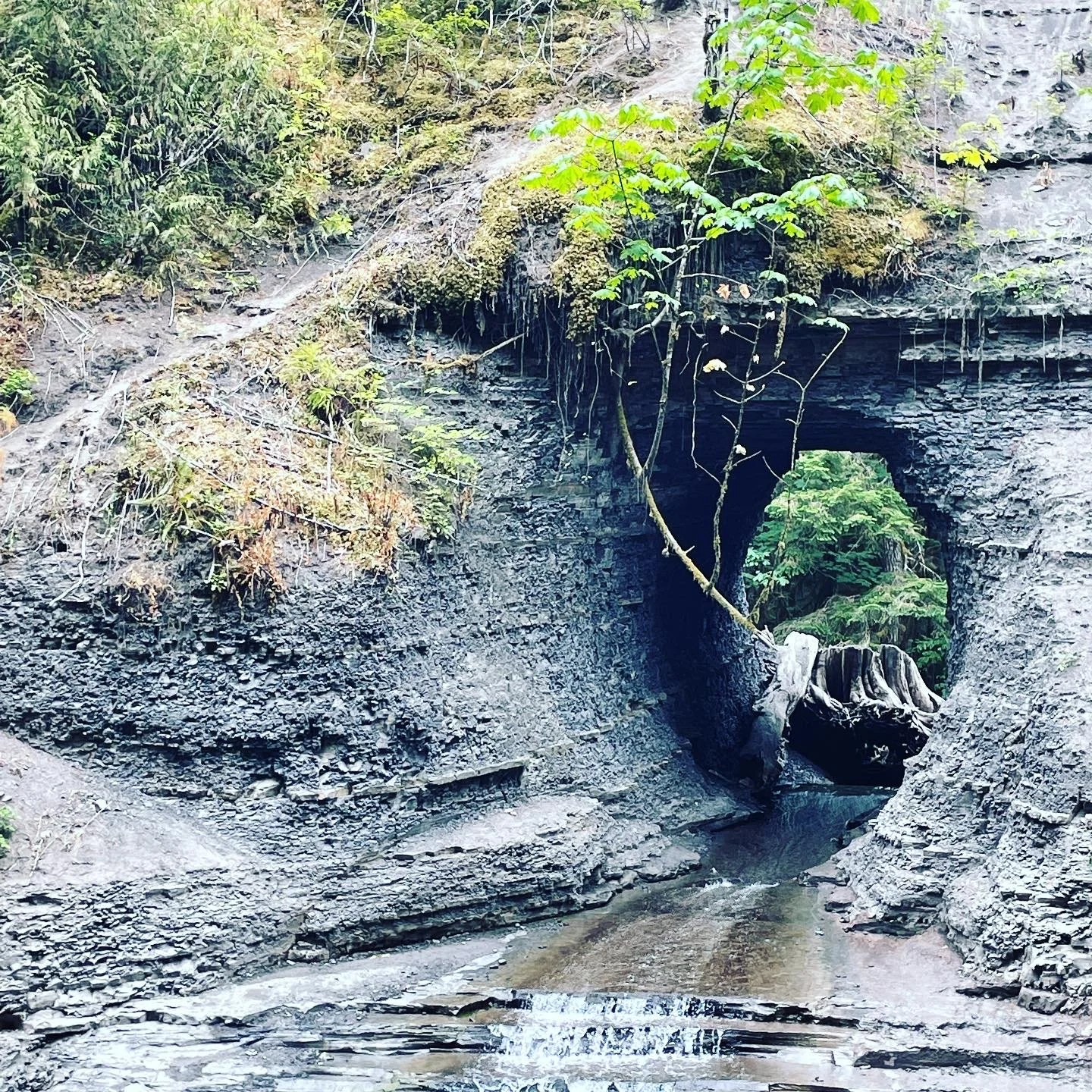 Vancouver Island Summer Family Road Trip