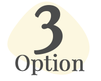 option 3.png
