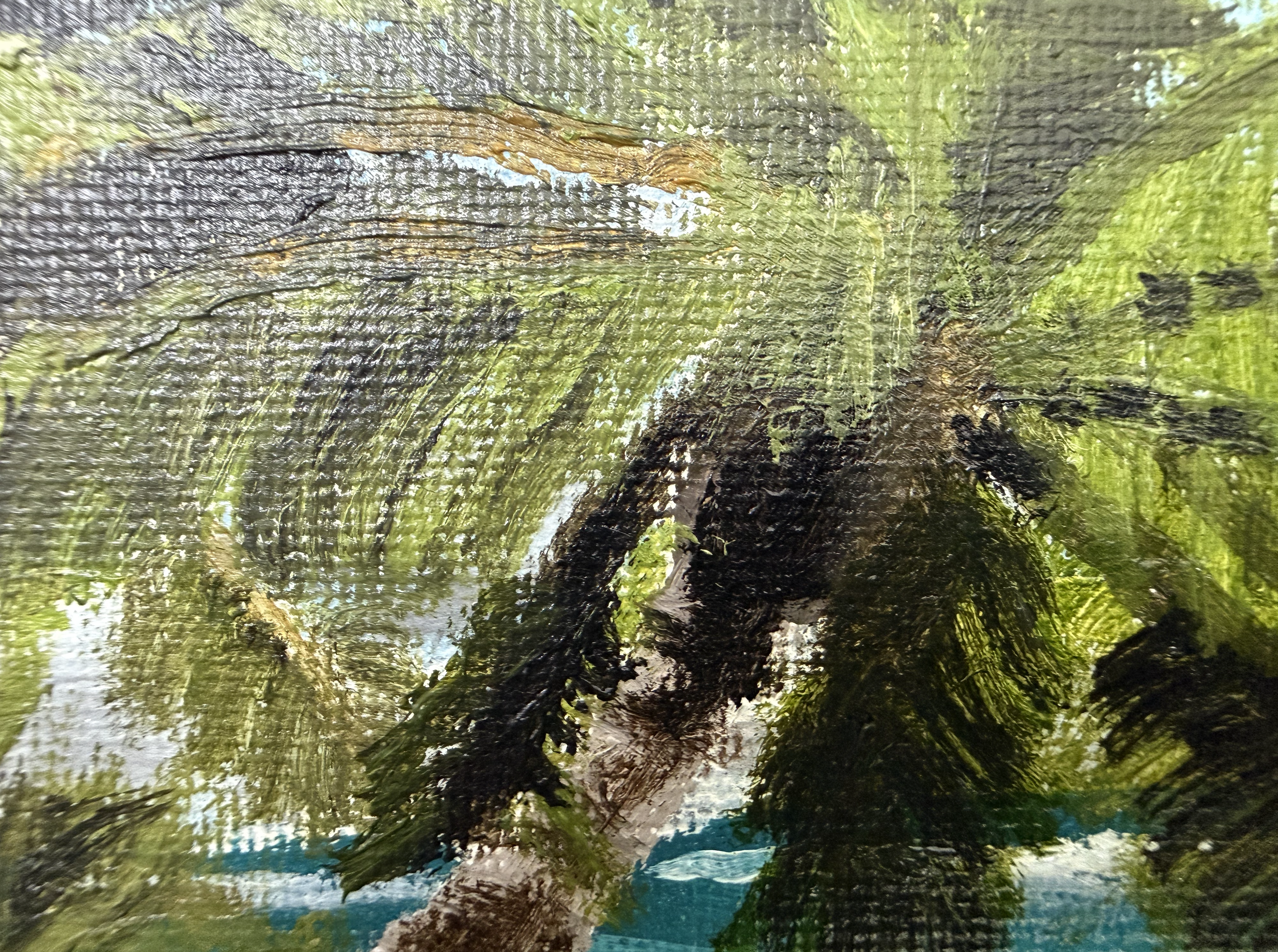 Screenshot 2026-02-21 at 12.29.22 PM.png