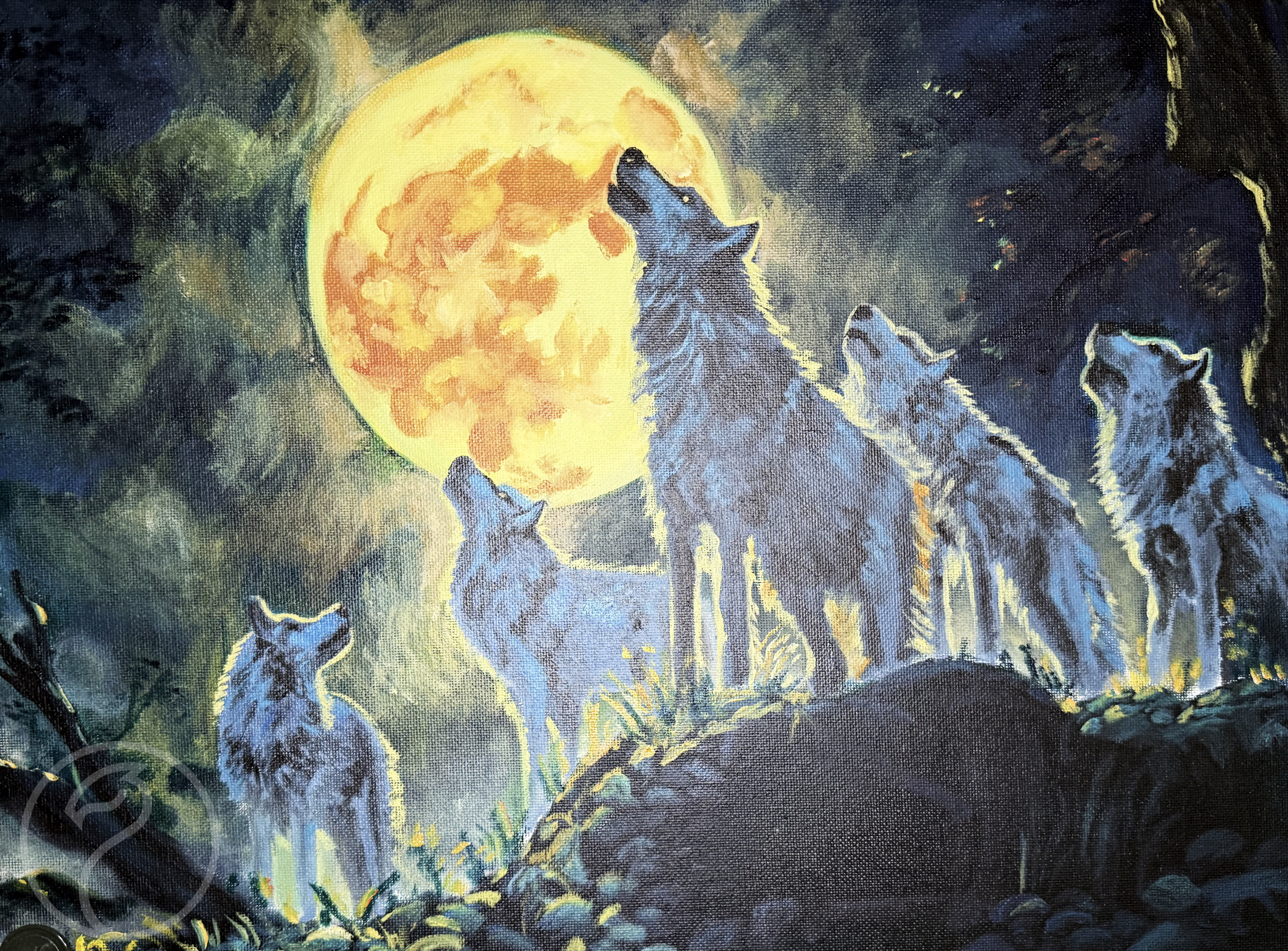 Screenshot 2026-02-23 at 12.54.04 PM.png