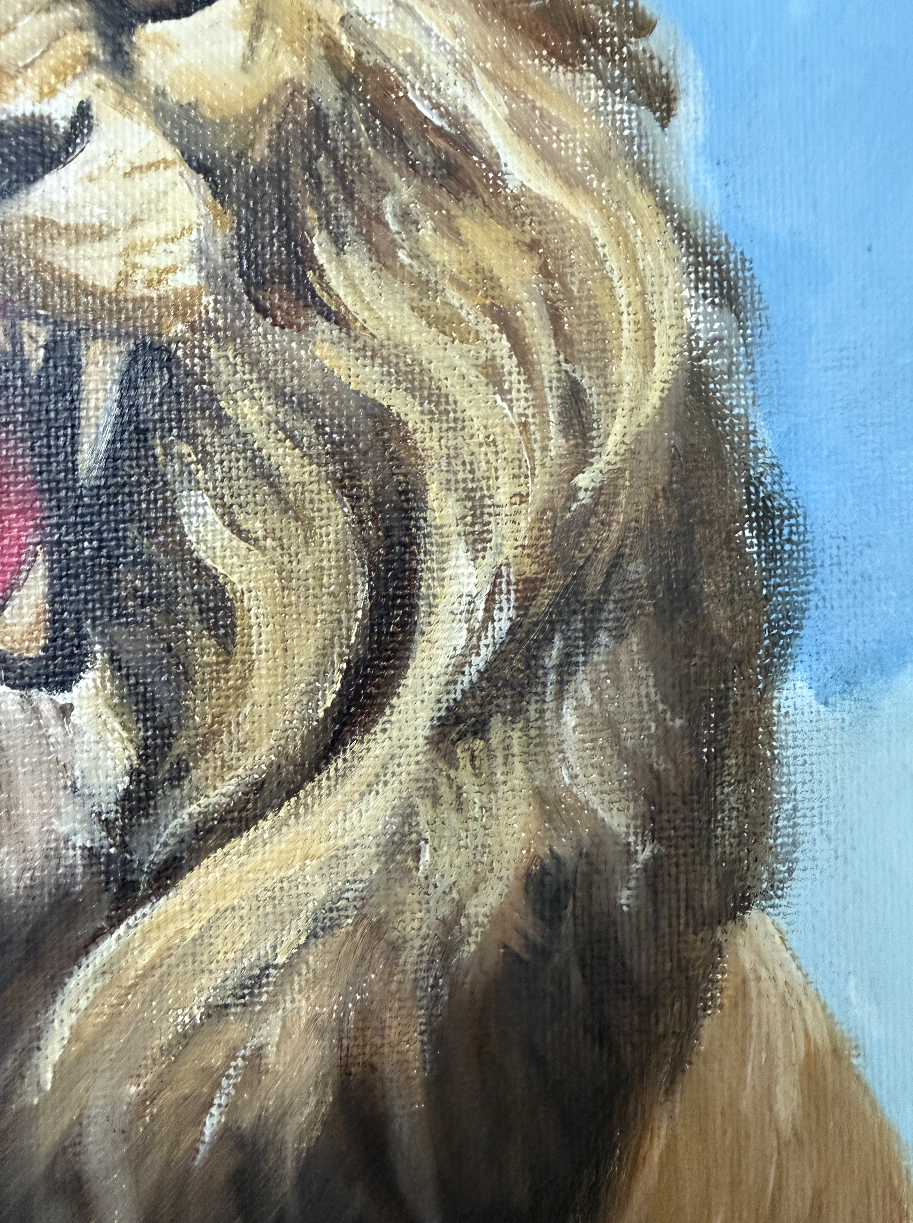 Screenshot 2026-02-23 at 12.44.04 PM.png