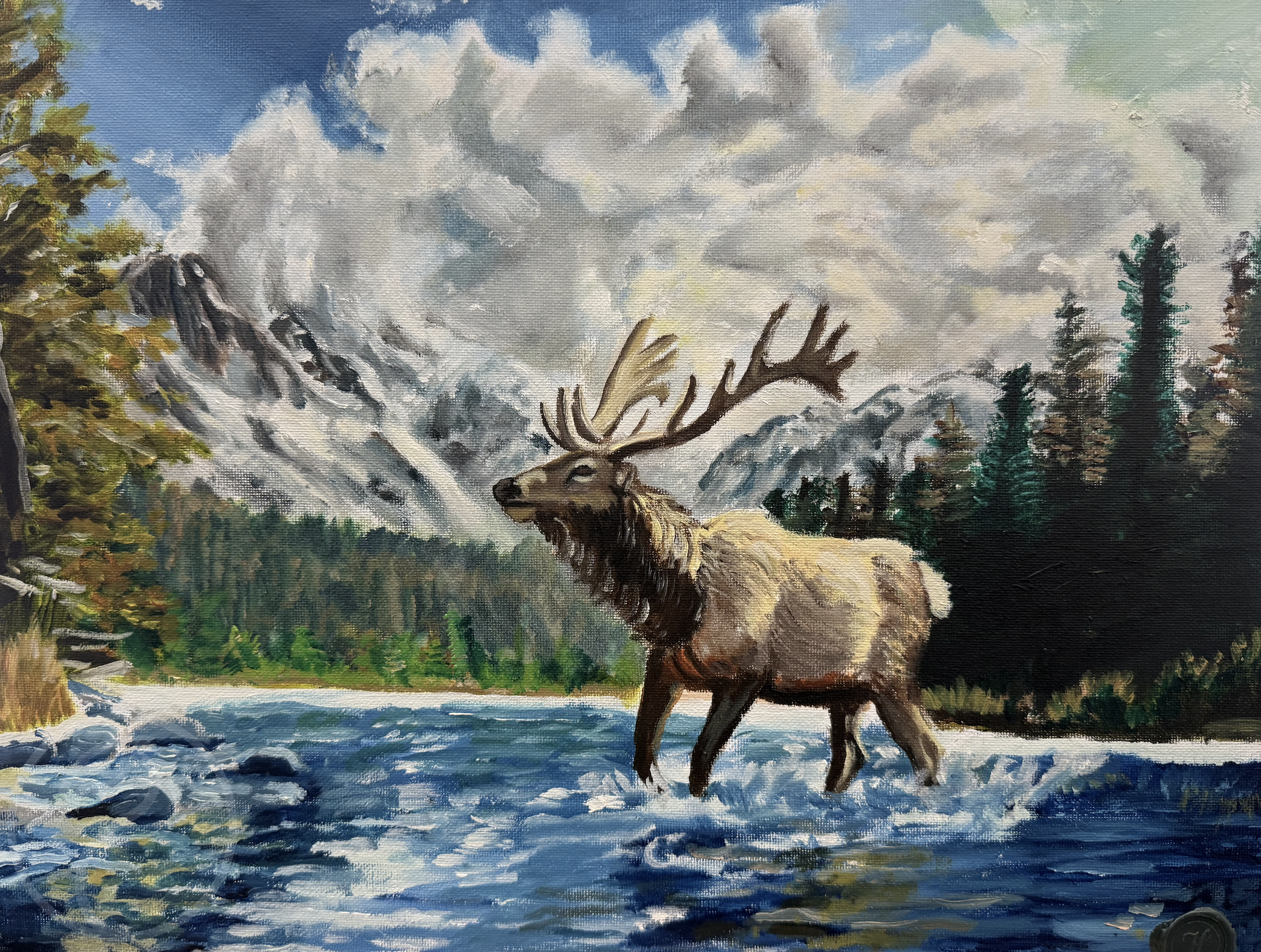 Screenshot 2026-02-22 at 9.23.33 AM.png