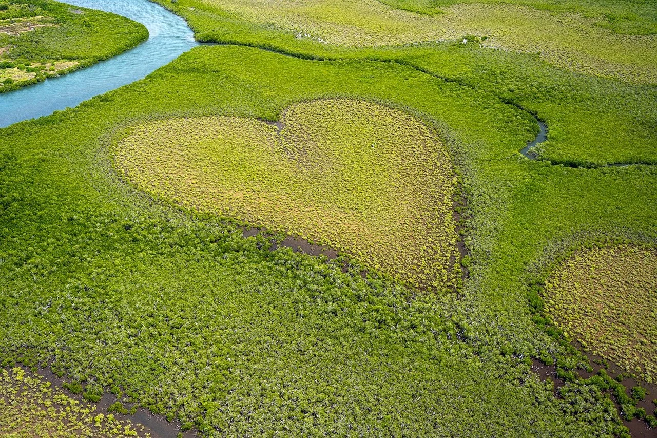 QiGong for the Summer Solstice: Radiant Heart