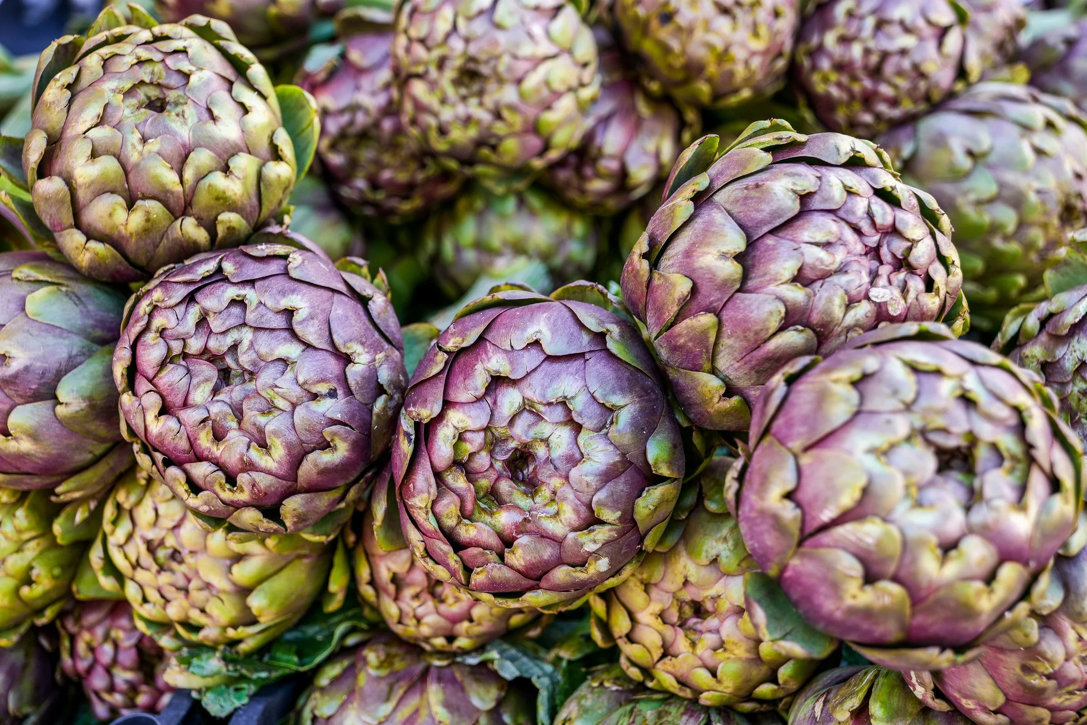 Amazing Artichokes
