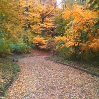 Pathway in Fall (1).jpg
