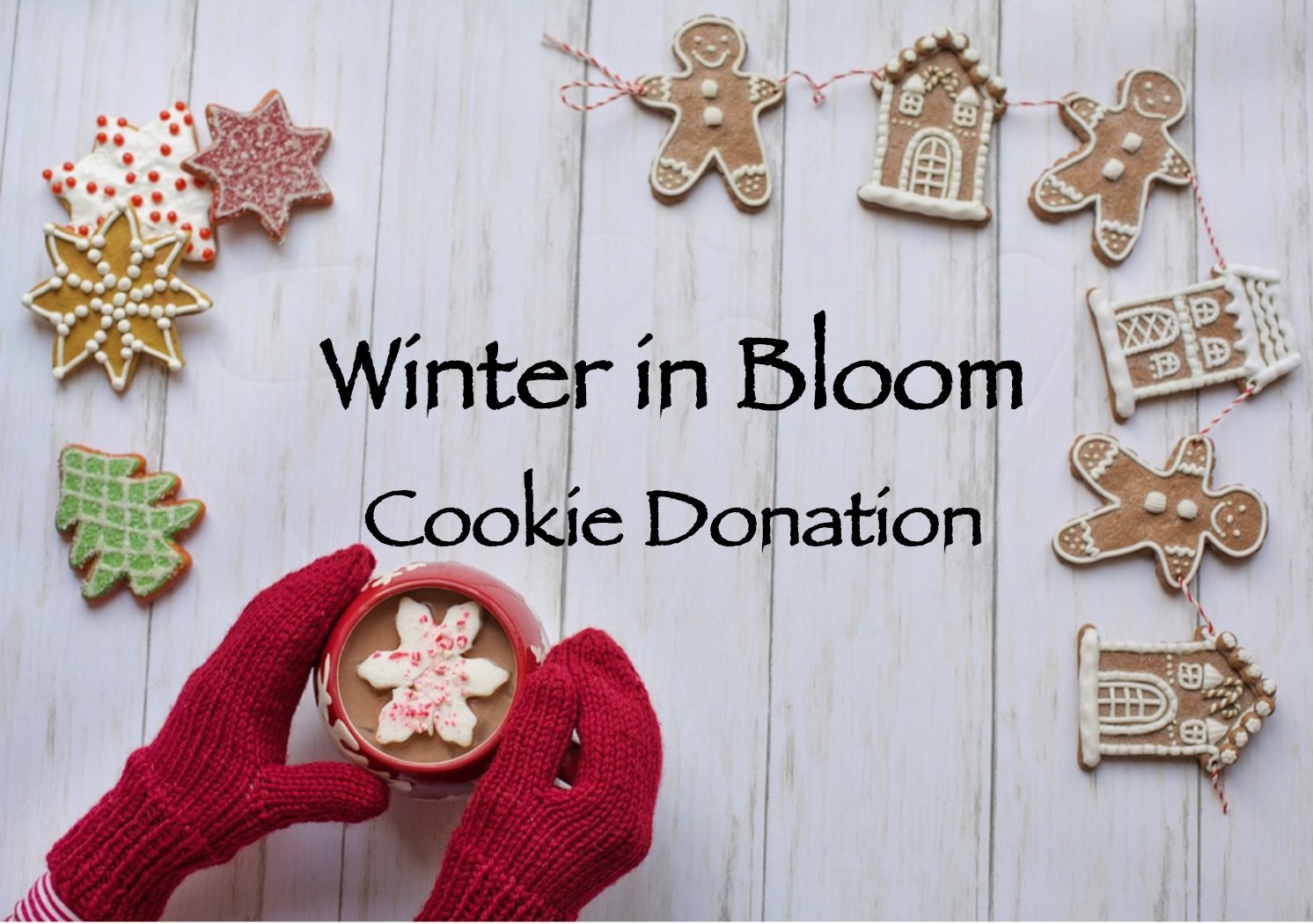 Winter in Bloom – Cookie Donations — Hauberg Estate