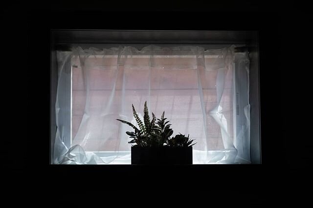 Air bnb window art.

#fujixt3 #fujifilm #fujifilmxt3 #fuji_xseries #fujifilm_global #shotonfuji #55mm #16-55mm #primelens #naturallighting #window #windowsill #pottedplants