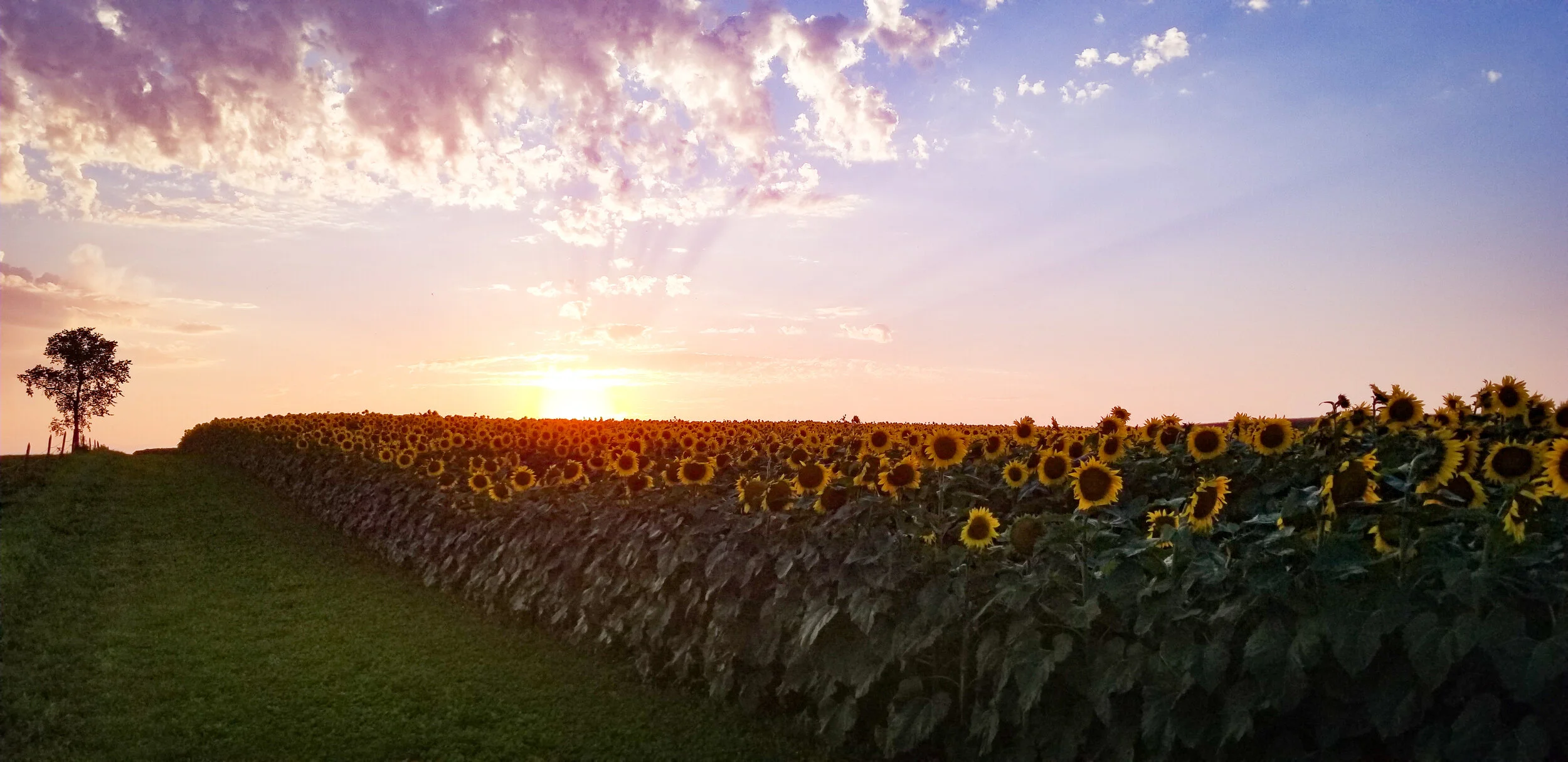 Backroad Creations / Nicole Schmitt Photography