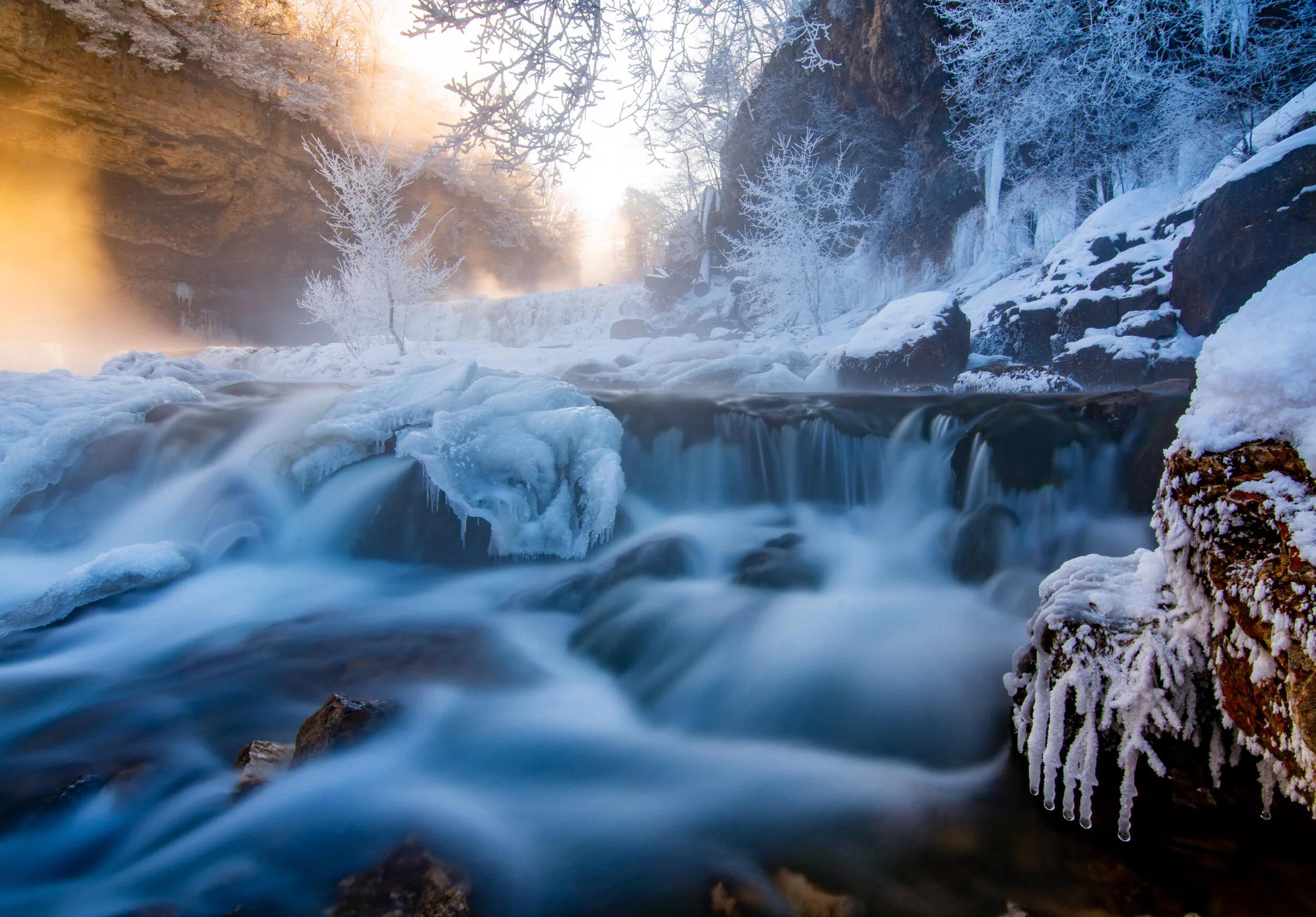 * Jen Falkofske Photography