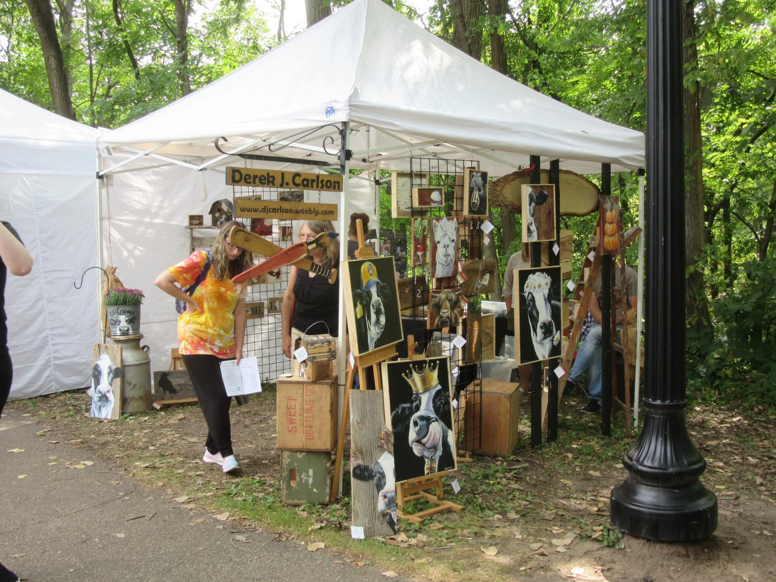 Art on the Kinni Applications — River Falls Community Arts Base