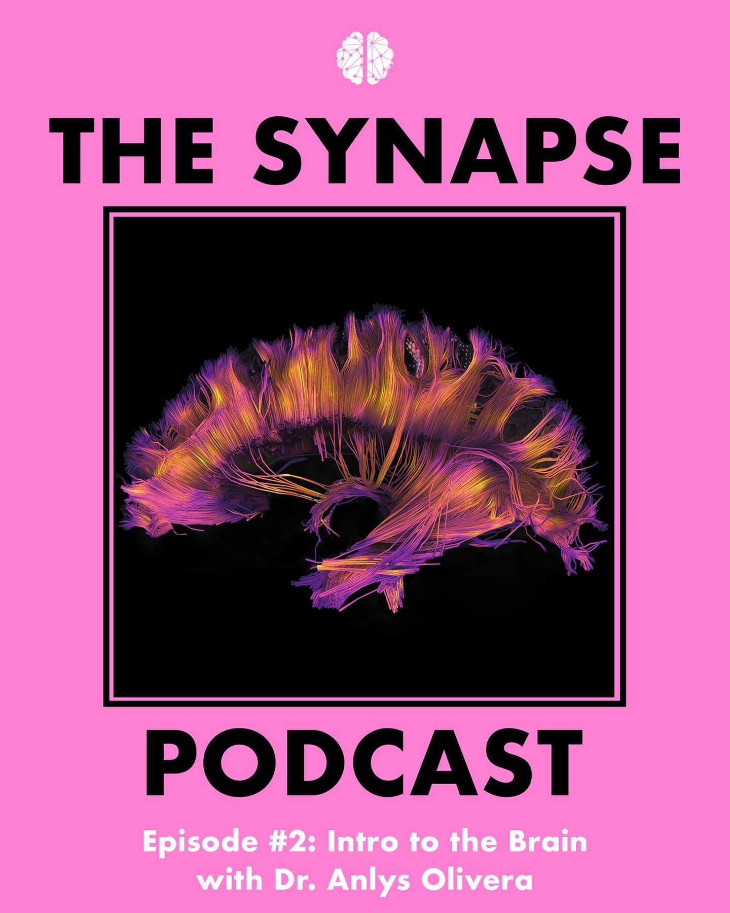 Episode #2 of THE SYNAPSE NYC PODCAST is now live! Intro to the Brain 🧠 LINK IN BIO

In this episode we talk about the brain, the body, and the fascinating ways they are constantly interacting. Our co-founder Liri Haram is in conversation with Dr. A