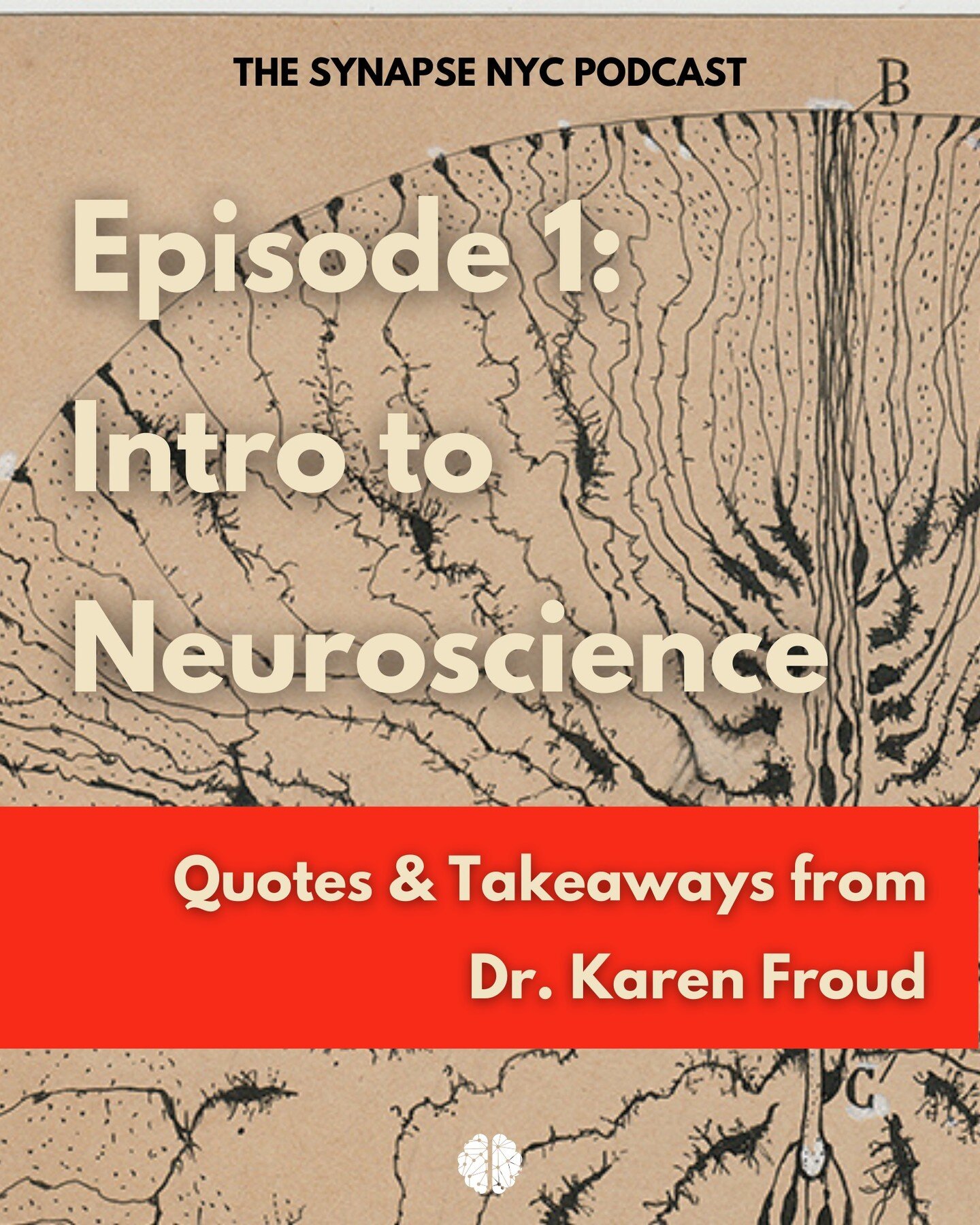 Have you ever wondered, what even is neuroscience? 

Then you&rsquo;re in luck because that&rsquo;s how we kicked off ✨ Episode 1: Intro to Neuroscience ✨ with the brilliant Dr. Karen Froud 

Dive in with Mahima Golani and Dr. Froud as they explore h