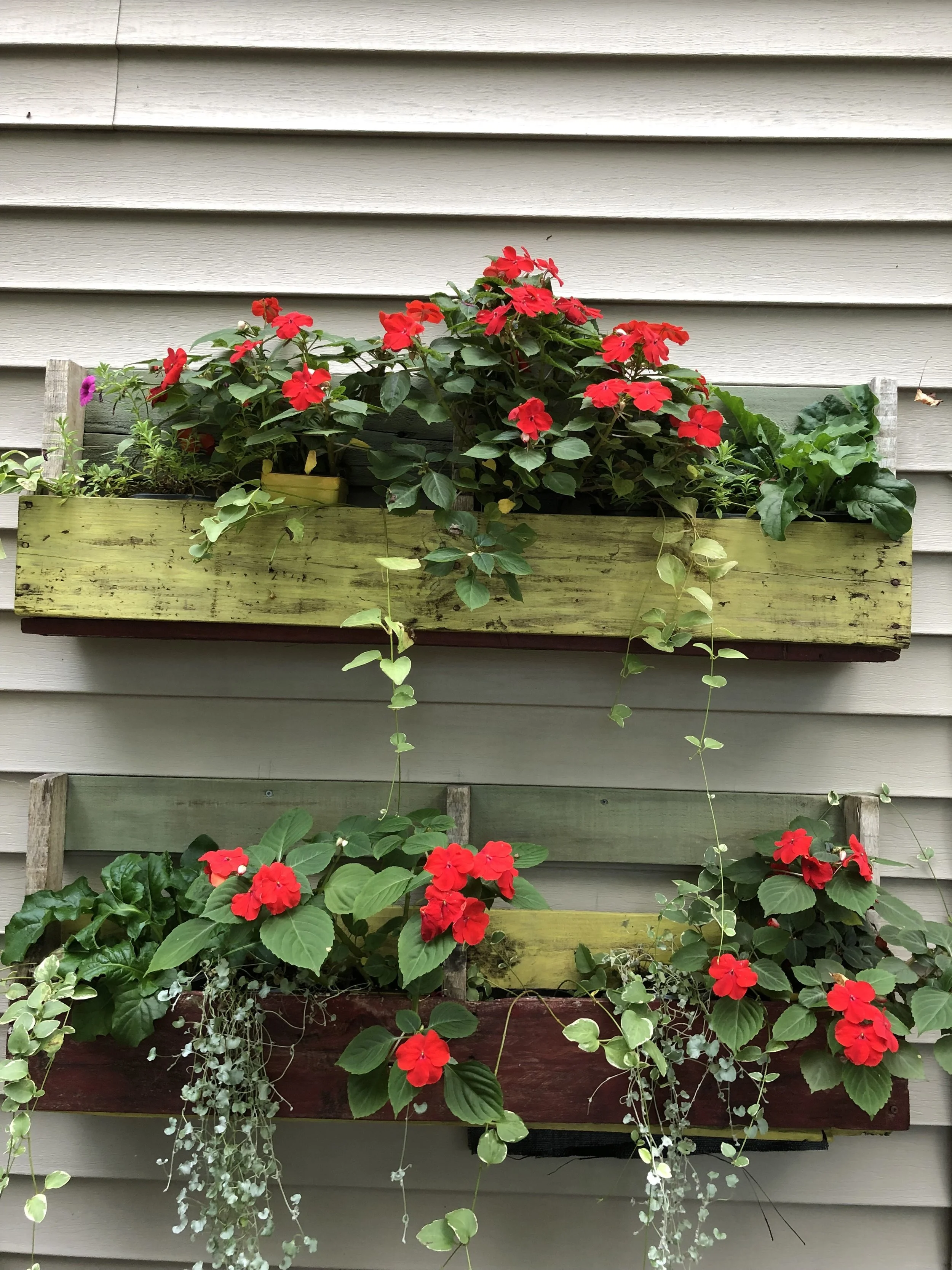 Pallet Plant Holder