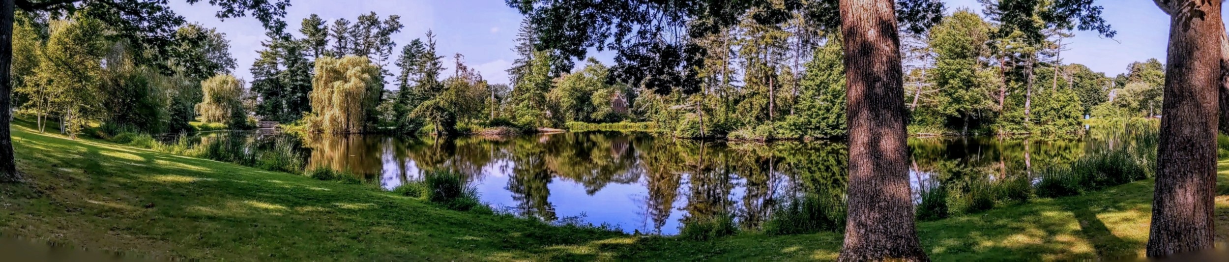 Mead-Panorama-01.jpg