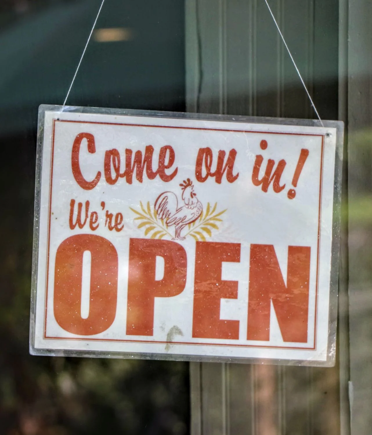 Silvermine-Market_Open.jpg