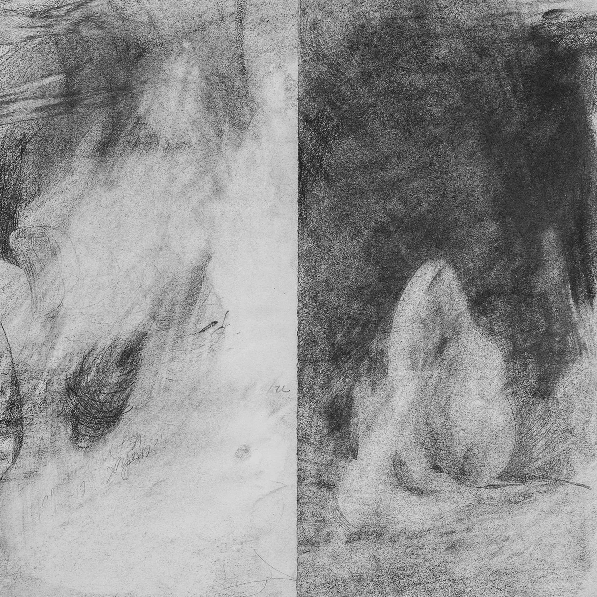    Gorky's Ingres    graphite &amp; charcoal on paper, 12.5” x 12.5” 