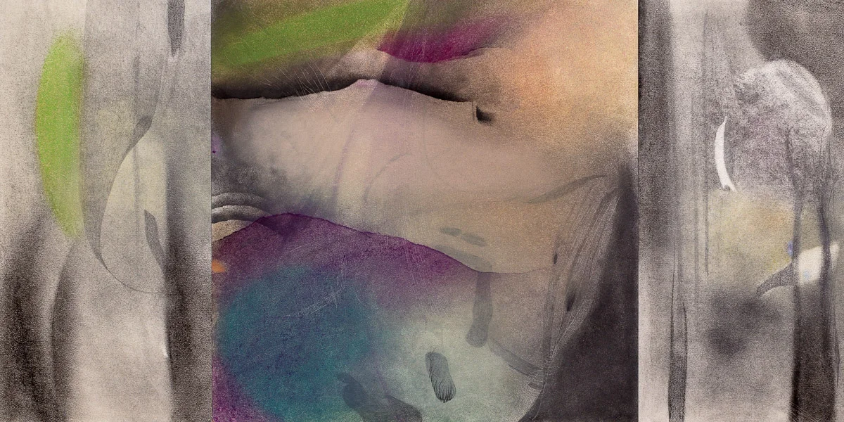    Shadow Bird, Moon &amp; Trees    pastel, graphite &amp; charcoal on paper, 12.5” x 25” 