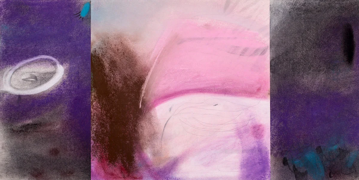    Bird's Peak    pastel, graphite &amp; charcoal on paper, 12.5” x 25” 