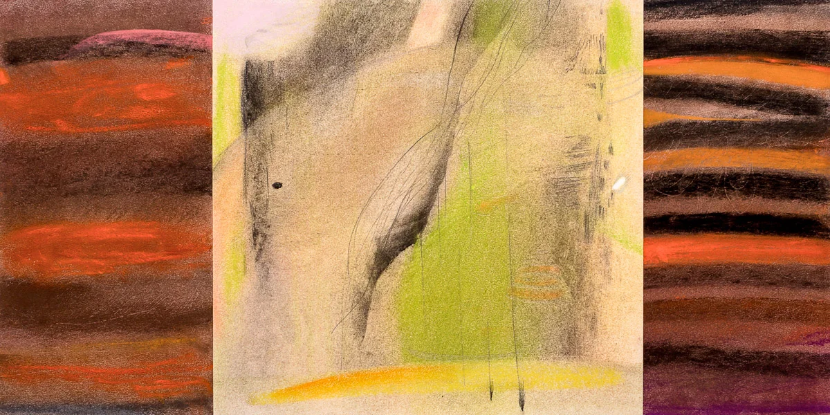    Peach Maiden's Bark Peel Manteau    pastel &amp; graphite on paper, 12.5” x 25” 