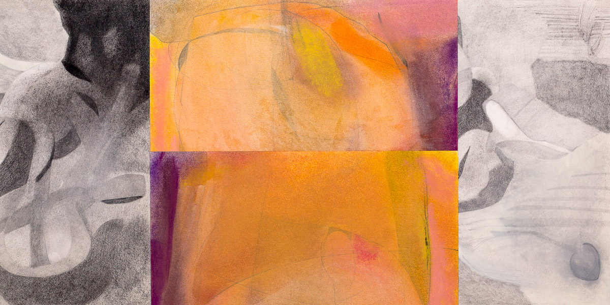    Portrait in Orange    pastel, graphite &amp; charcoal on paper, 12.5” x 25” 