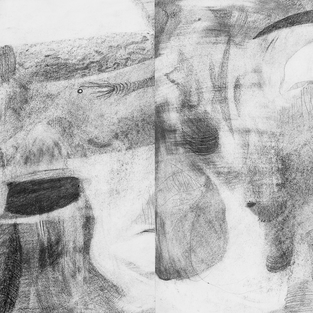    Alphabet Amphibian    graphite &amp; charcoal on paper, 12.5” x 12.5” 