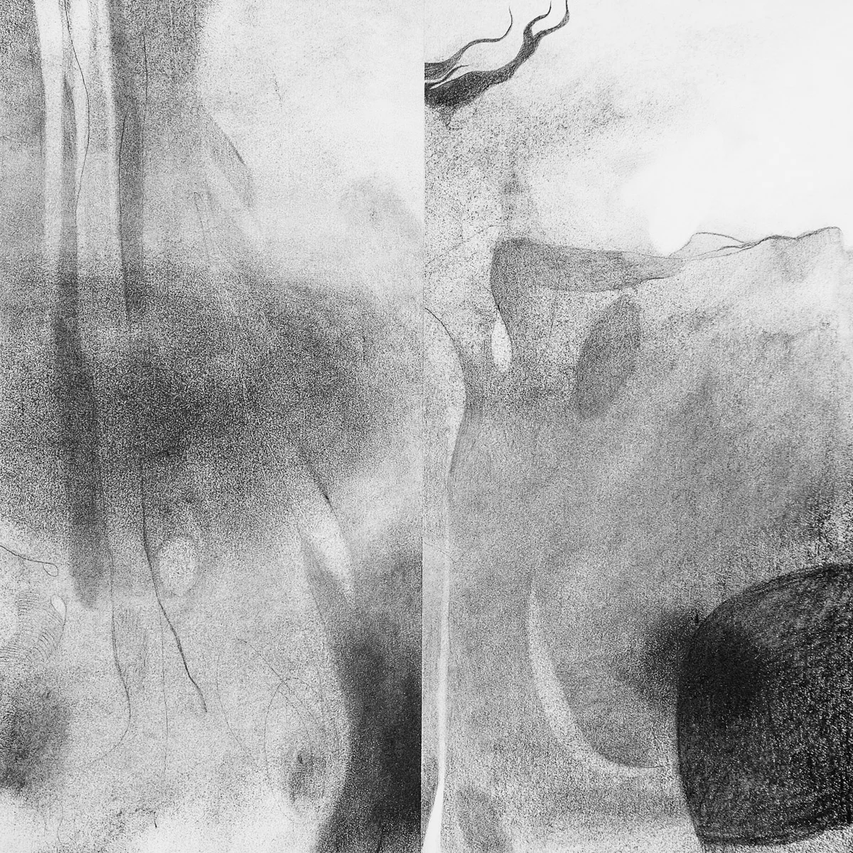   Fall Equinox    graphite &amp; charcoal on paper, 12.5” x 12.5” 