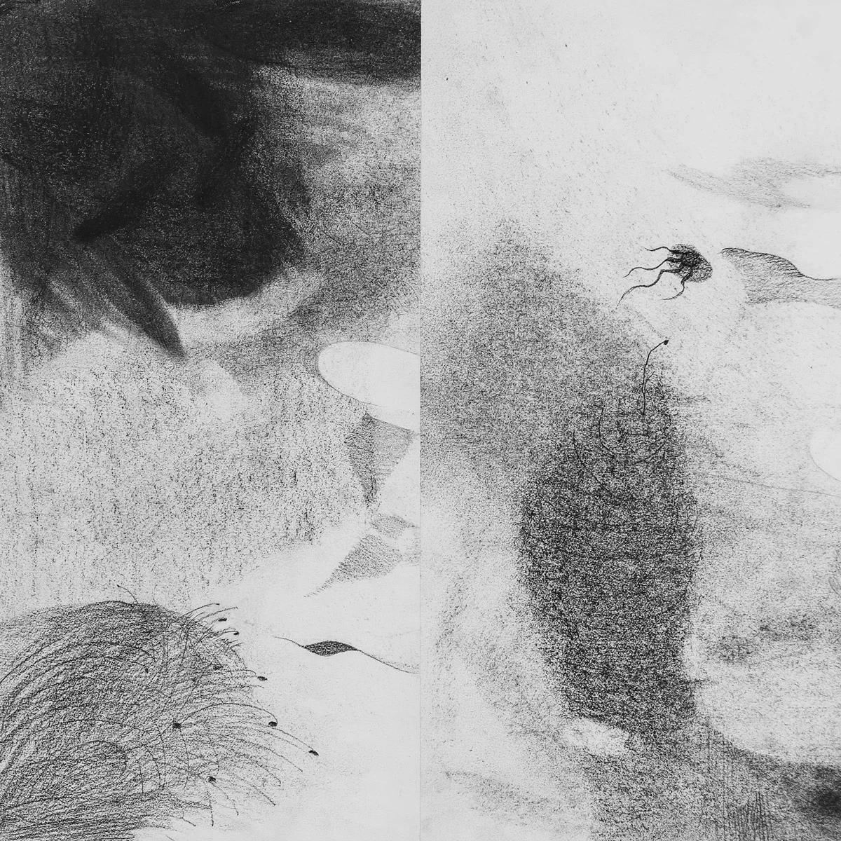    Miro Momento    graphite &amp; charcoal on paper, 12.5” x 12.5” 