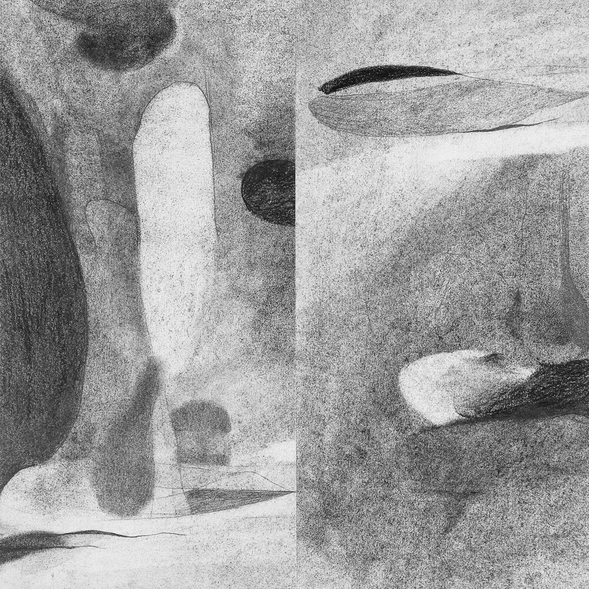    Redon Riddle    graphite &amp; charcoal on paper, 12.5” x 12.5” 