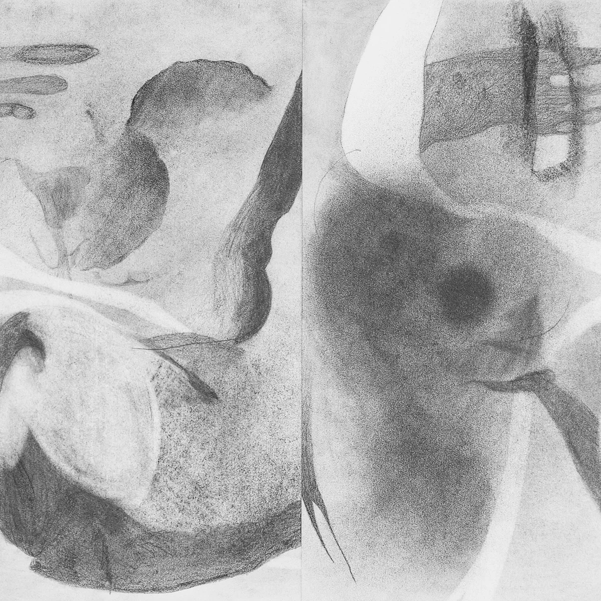   Runic Rhyme    graphite &amp; charcoal on paper, 12.5” x 12.5” 