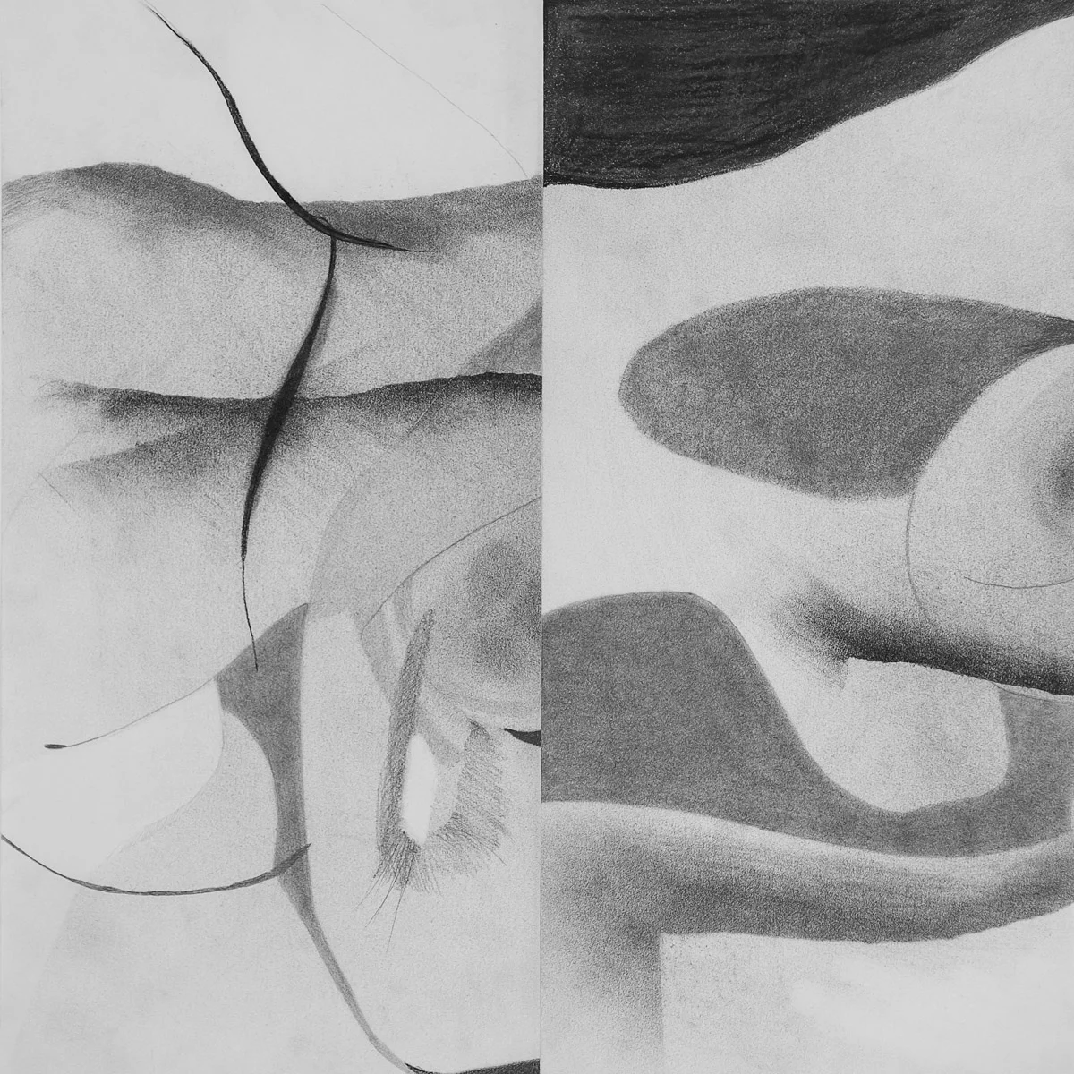    Solstice Souvenir    graphite &amp; charcoal on paper, 12.5” x 12.5” 