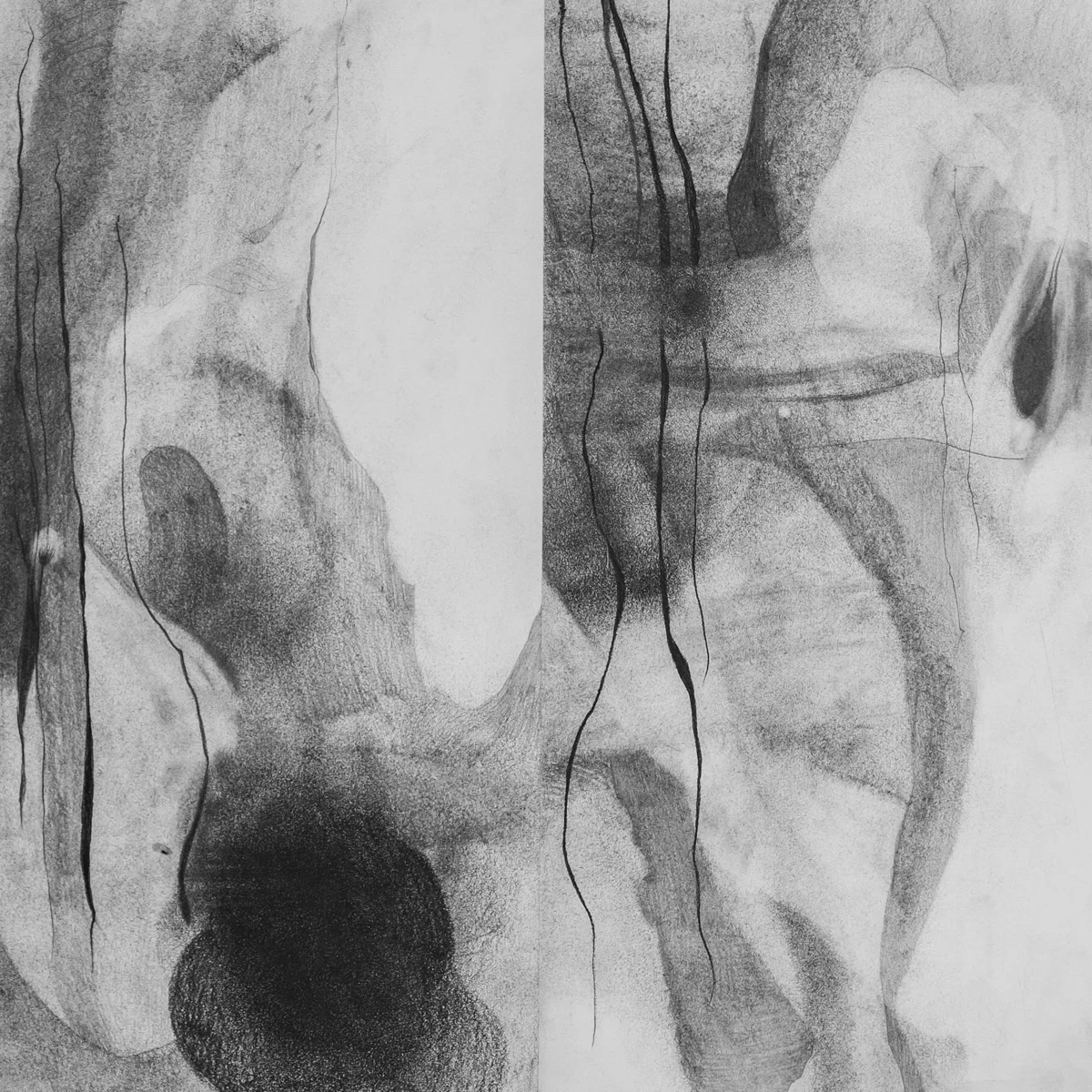    Sylph Sisal    graphite &amp; charcoal on paper, 12.5” x 12.5” 