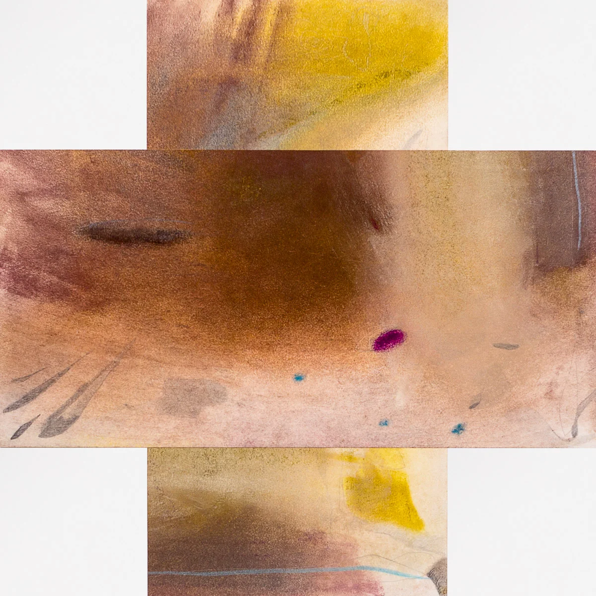    Deer Shadow    pastel &amp; graphite on paper, 12.5” x 12.5” 