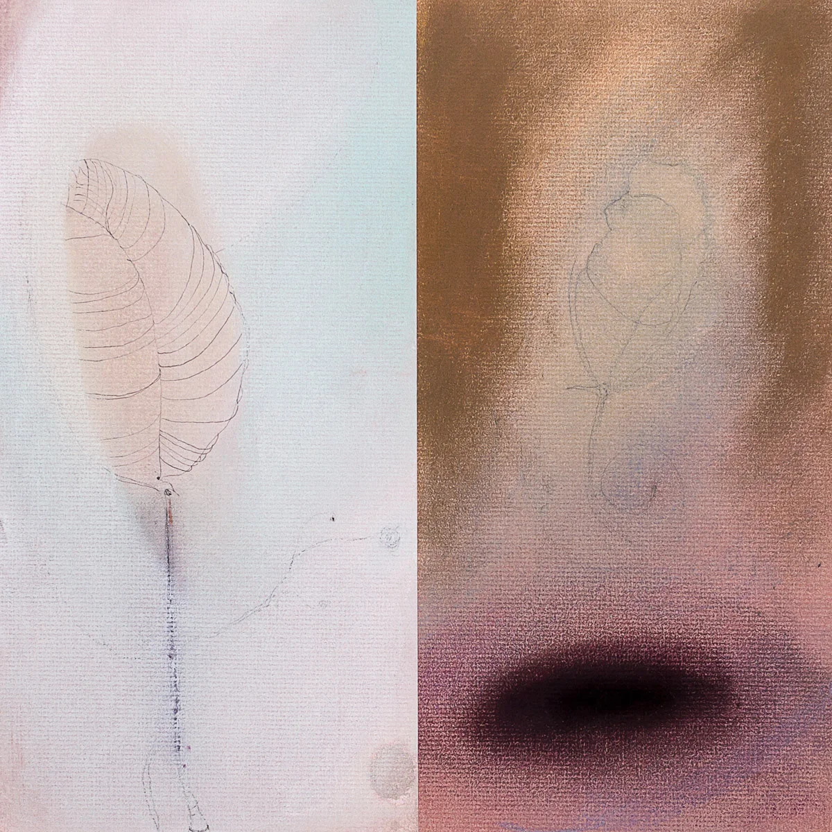    Water Lung    pastel, graphite &amp; charcoal, 12.5” x 12.5” 