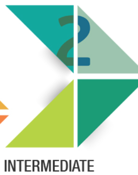 Intermediate.PNG